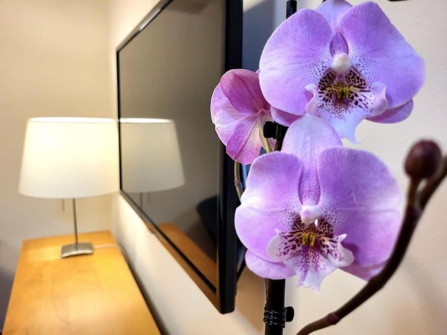 Sabor De Espana Appartement Alicante